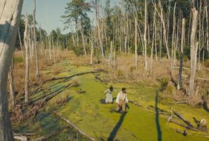 Le chemin de fer souterrain Cora et Caesar Swamp