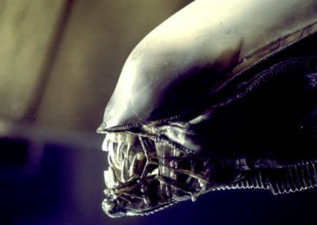La série Alien de FX devrait s’incliner en 2023