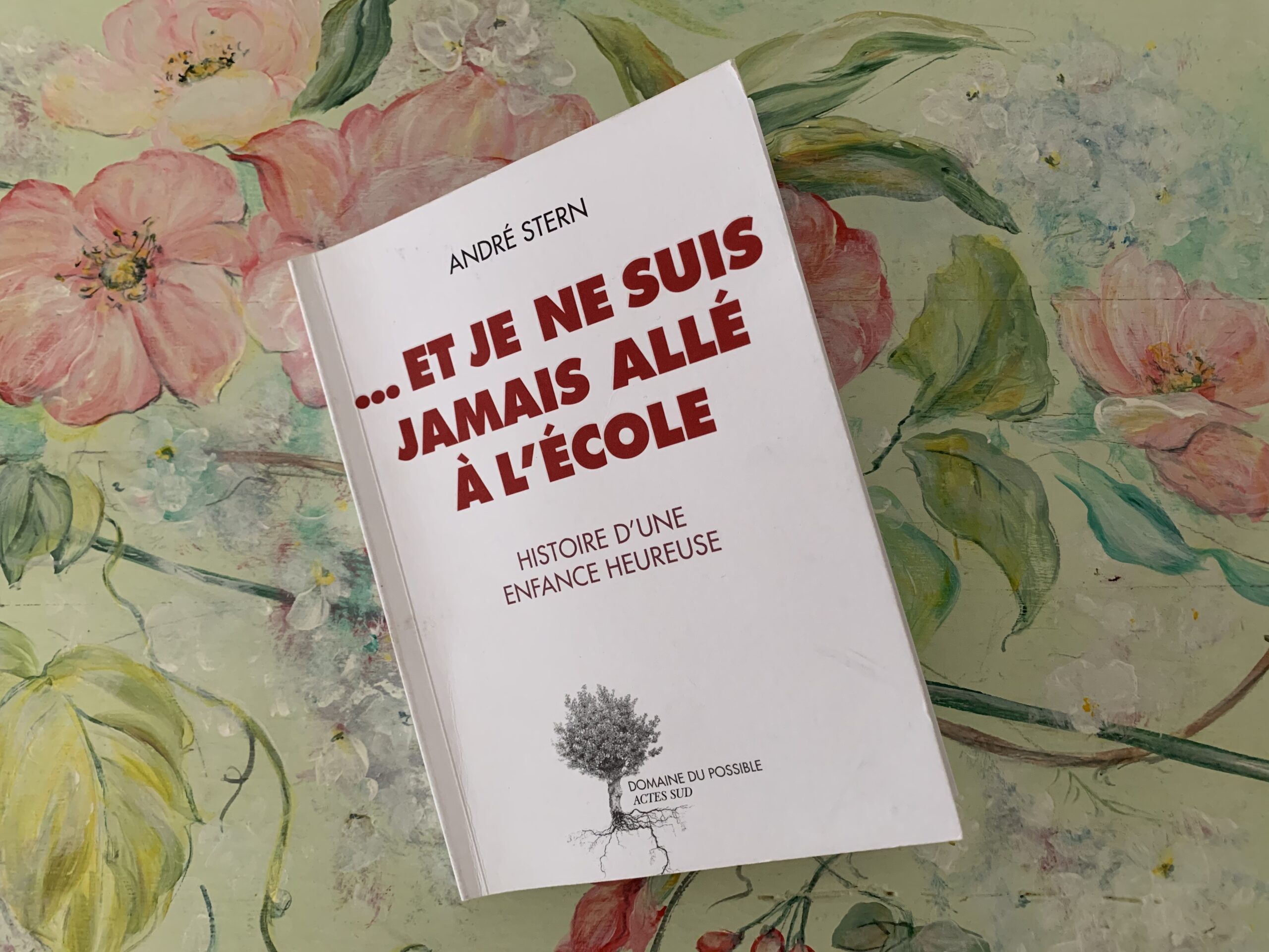 Comme nous le voyons annulé sur Amazon