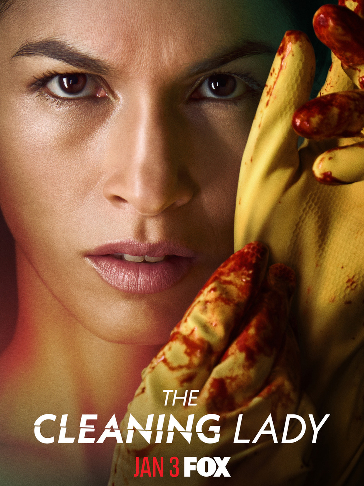 Revue de The Cleaning Lady Saison 2 Episode 6 : Le paradis perdu