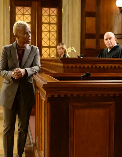 Une affaire complexe - Law & Order Saison 22 Épisode 8