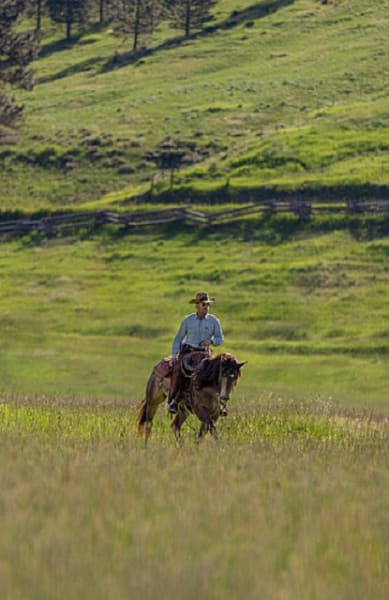Rider on the Range - Yellowstone Saison 5 Épisode 3