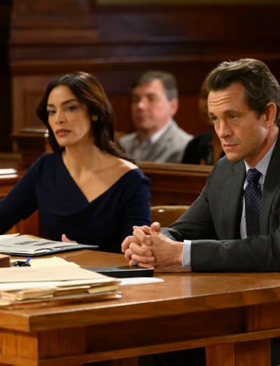 Se battre pour un vétérinaire assassiné - Law & Order Saison 22 Episode 8