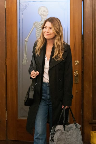 Mom's Home - Grey's Anatomy Saison 19 Episode 4