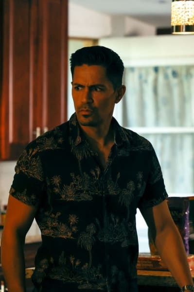Seeking Burglar - Magnum PI Saison 5 Épisode 7