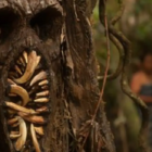 Cast pour FX "Extraterrestre" La série télévisée comprend la star