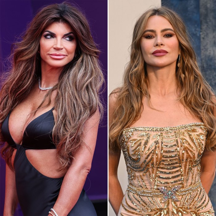 Rencontre désagréable entre Thérèse Giudice et Sofia Vergara : les détails