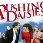 10 Obscure TV Shows That Are Actually Great