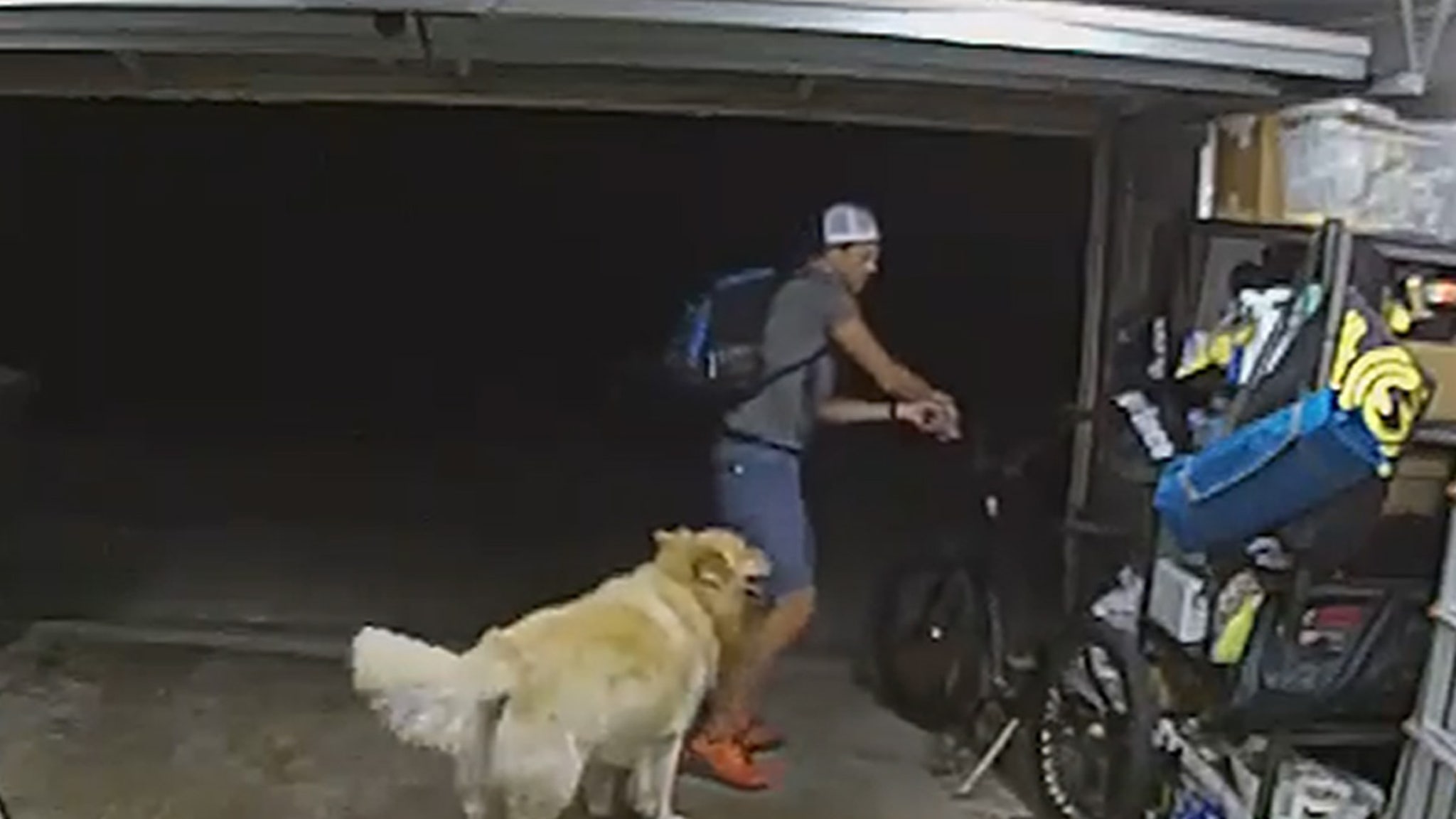 Vélo volé à San Diego : un chien amical distrait brièvement le voleur.