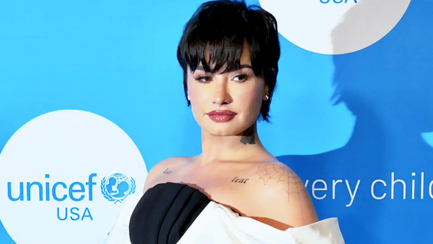 Demi Lovato fête ses 31 ans avec des cupcakes ‘Poot Lovato’ – Hollywood Life