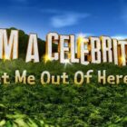 Comedian and I'm A Celebrity winner Joe Pasquale rushed to hospital after freak accident on stage