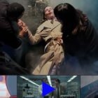 Best Movies & TV Shows (8/11-13)