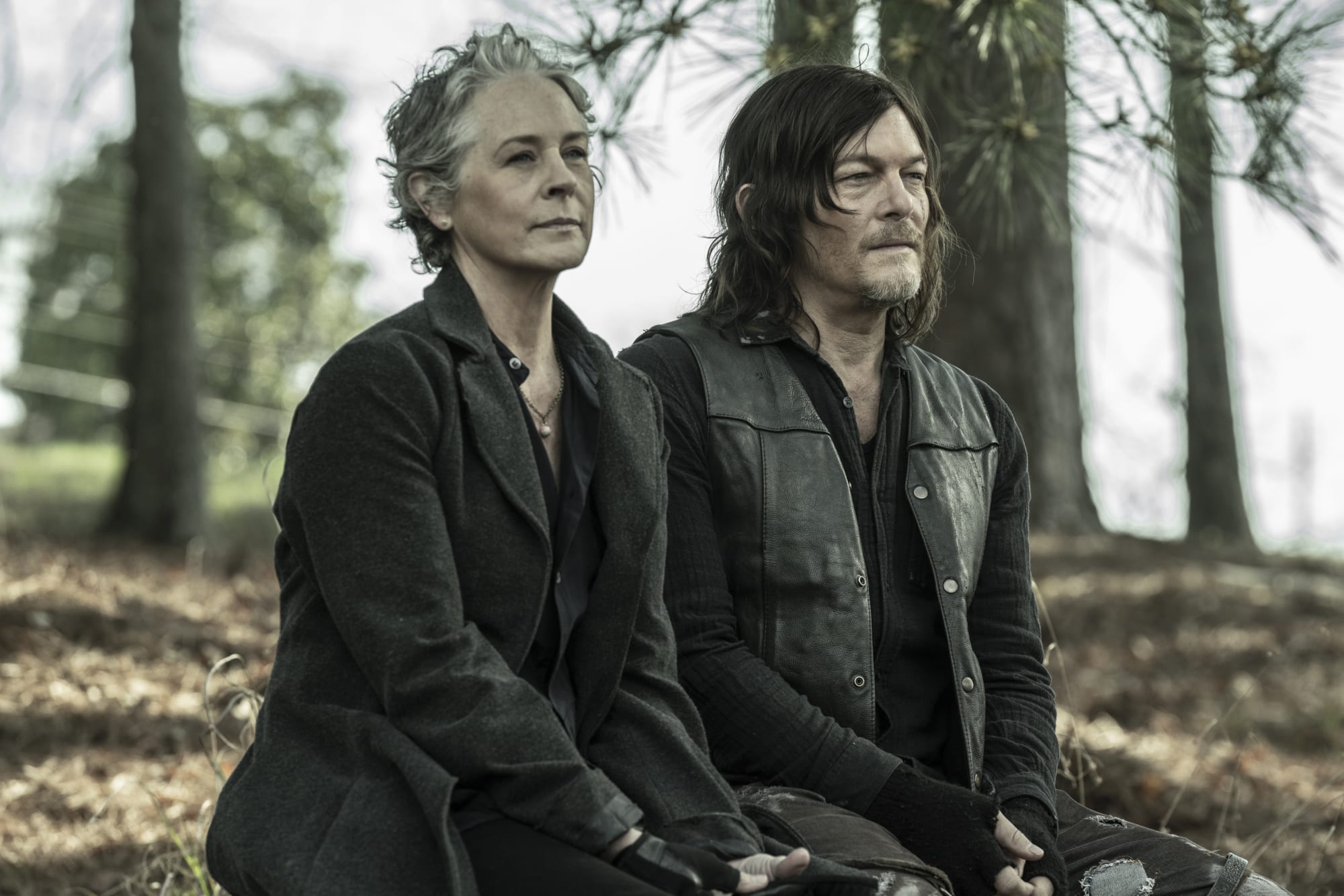 Les similitudes entre The Last of Us et Daryl Dixon EP sont minces.