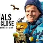 Animals Up Close with Bertie Gregory TV Show on Disney+: canceled or renewed?