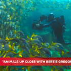 National Geographic's 'Animals Up Close With Bertie Gregory' is 'part wildlife and part adventure'