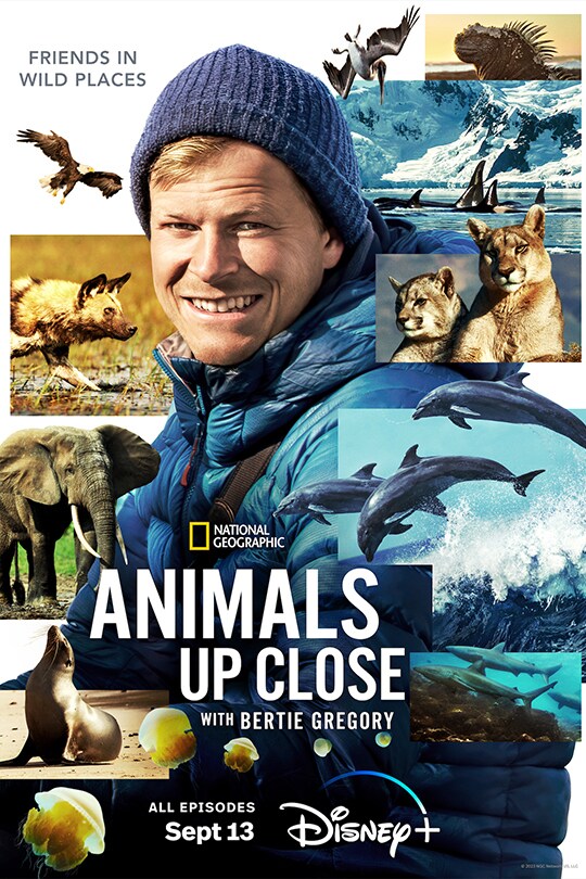 Rencontre intime avec les animaux par Bertie Gregory