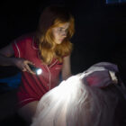 Nancy Drew TV show on The CW: canceled or renewed?