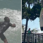 Black Surfer Claims Board Stolen, Nailed To Tree In Racist Act, Cops Investigating