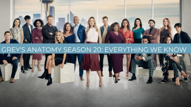 Tout savoir sur la saison 20 de Grey’s Anatomy : intrigue, casting, date de première