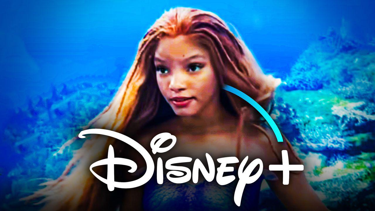 La Petite Sirène débarque sur Disney+ en 2023 : Découvrez la nouvelle vidéo