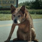 Pet Sematary: Bloodlines Trailer Warns You Never to Trust a Recently Dead Dude Named Timmy