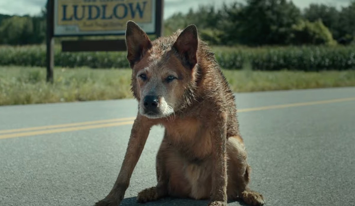 Méfiez-vous de Timmy, le récemment décédé : Bande-annonce de Pet Sematary: Bloodlines