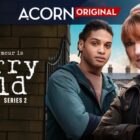 Harry Wild Season 2 Key Art