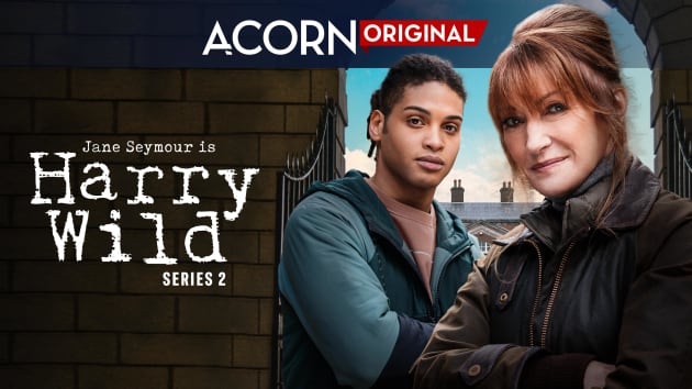 Date de première de la saison 2 de Harry Wild révélée par Acorn TV