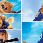 5 Air Bud Movies Are Coming To Disney+ On October 1st