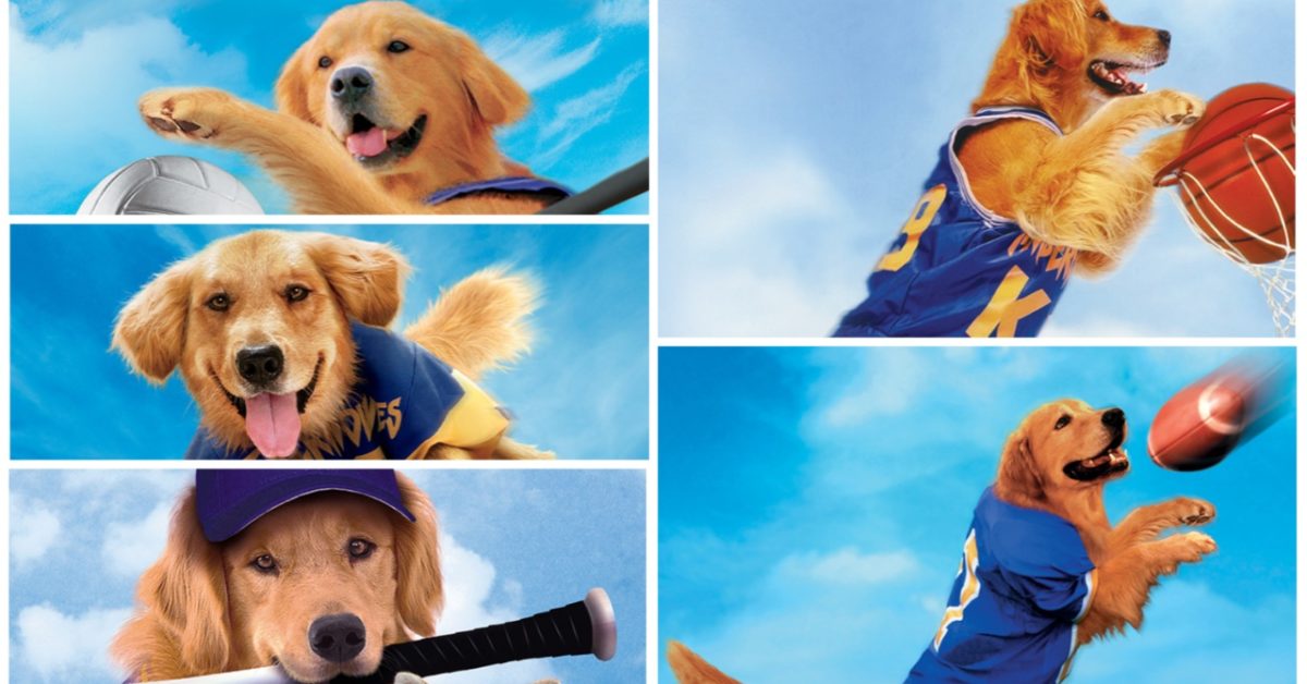 5 films Air Bud arrivent sur Disney+ le 1er octobre