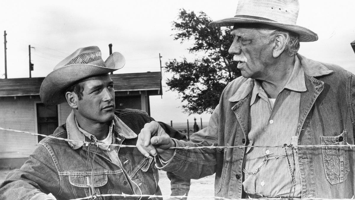 9 films de Larry McMurtry à ne pas manquer, de ‘Hud’ à ‘Brokeback Mountain’