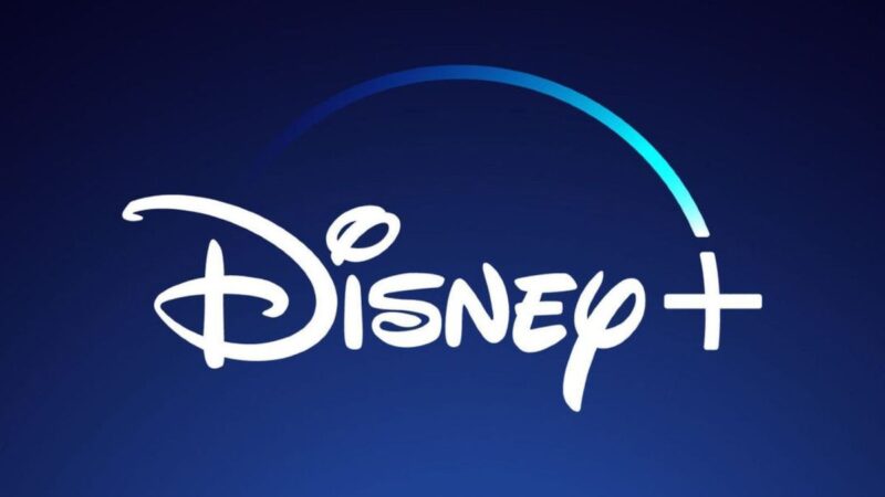 Renegade Nell : la série fantastique de Disney+ annulée après une seule saison