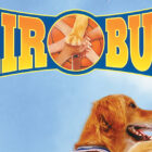 First 5 ‘Air Bud’ Movies Coming to Disney+ – Find Out When! | Disney Plus, Movies