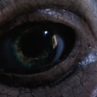 First Look At New GOOSEBUMPS Series Teaser Warns Us Not To Blink