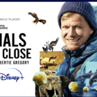 Brokaw: ‘Animals Up Close with Bertie Gregory’ streams on Disney+ | News, Sports, Jobs