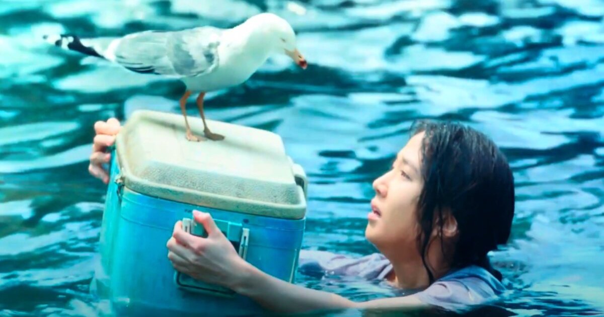 Bientôt sur Netflix !