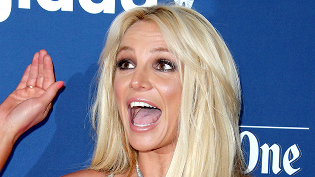 Britney Spears annonce son célibat après son divorce avec Sam Asghari : vidéo – Hollywood Life