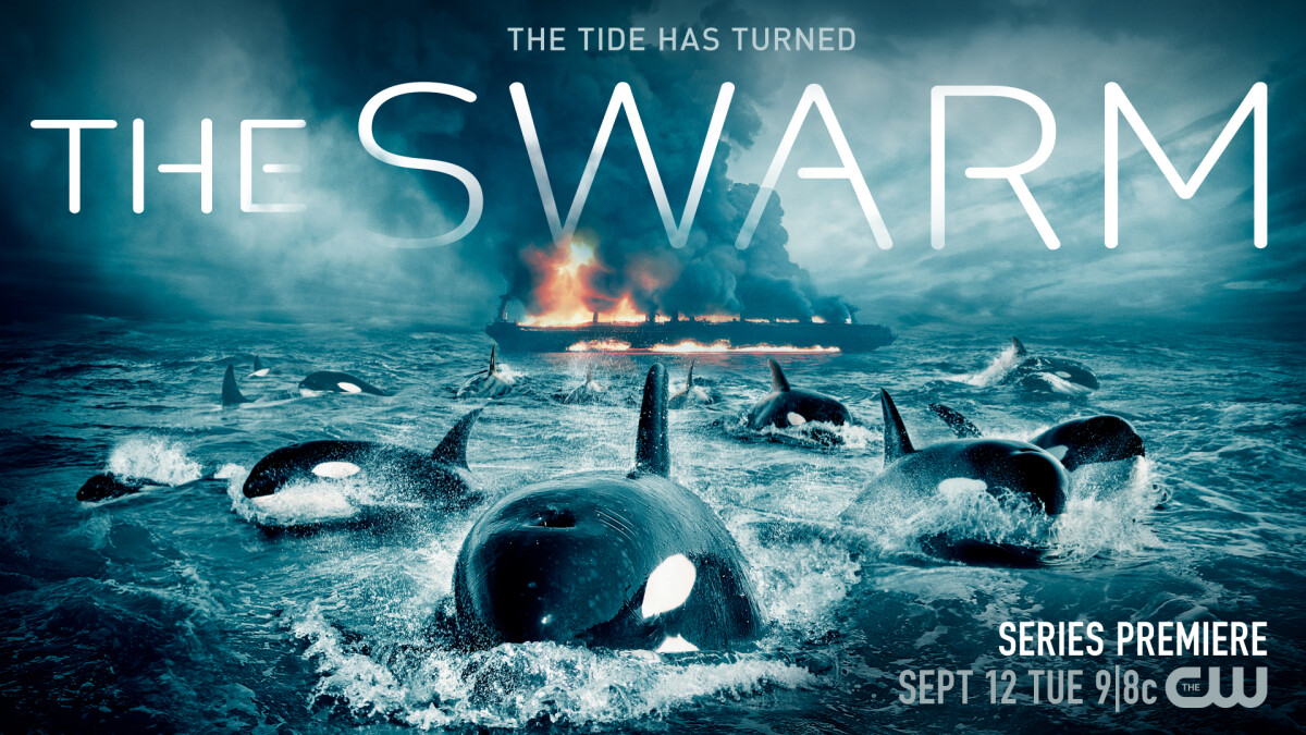 Classement saison 1 de The Swarm : séries TV annulées et renouvelées
