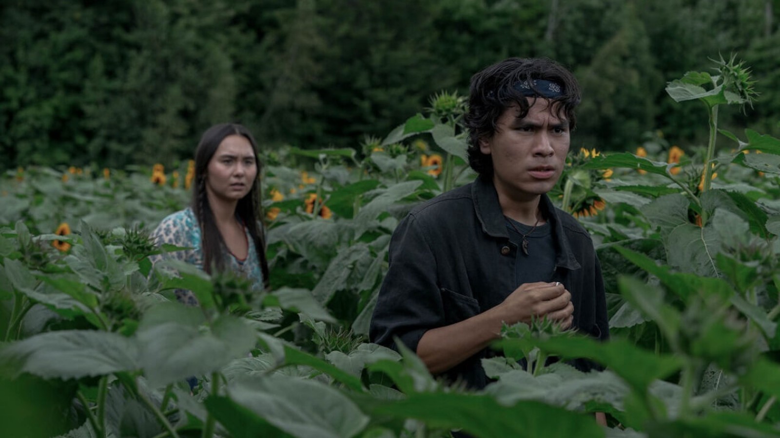 Combien de films Pet Sematary existe-t-il ?