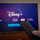Exploring the Natural World Up Close with Bertie Gregory on Disney+