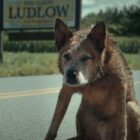 Bloodlines' First Trailer Released For Prequel Movie