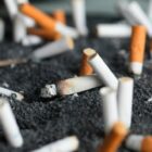 Cigarette butts in an ashtray