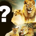 Who Narrates Netflix’s Predators Nature Docuseries