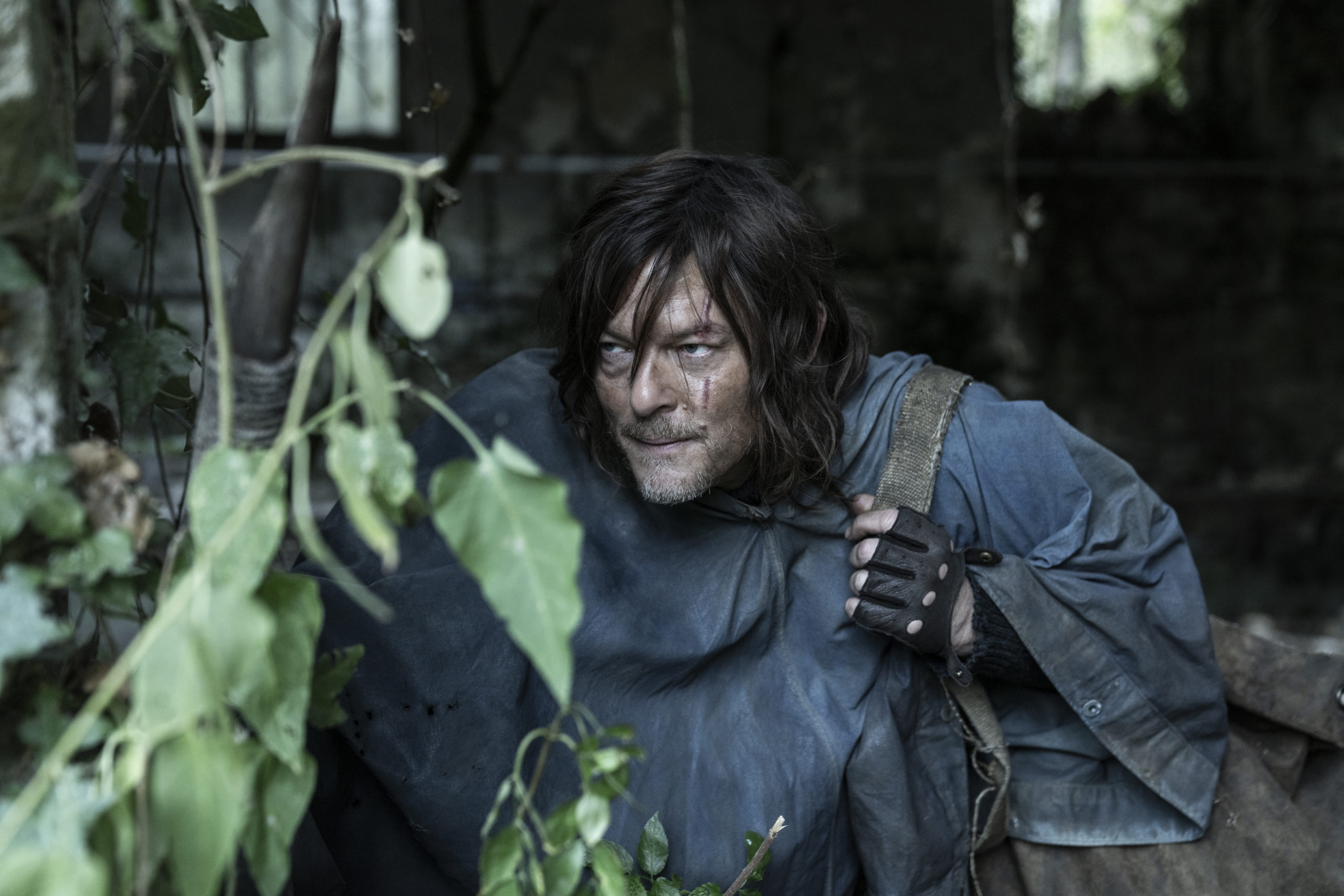 Le retour de Daryl Dixon dans The Walking Dead