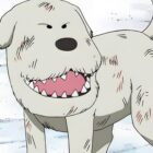 Netflix's One Piece Showrunner Addresses Absence of Animal Characters in Season 1