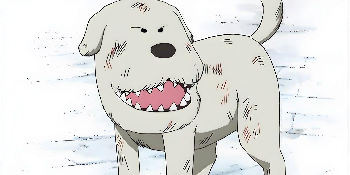 Le showrunner de Netflix pour One Piece s’exprime sur l’absence des animaux dans la saison 1