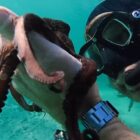 The Best Documentaries Currently Streaming on Netflix