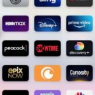 Netflix, Disney+, Max Form Trade Group to Advocate for Streaming – The Streamable