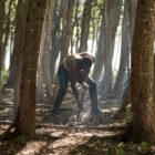 Netflix Orders Mandla Dube’s ‘Heart Of The Hunter’ On Mip Africa Slate – Deadline