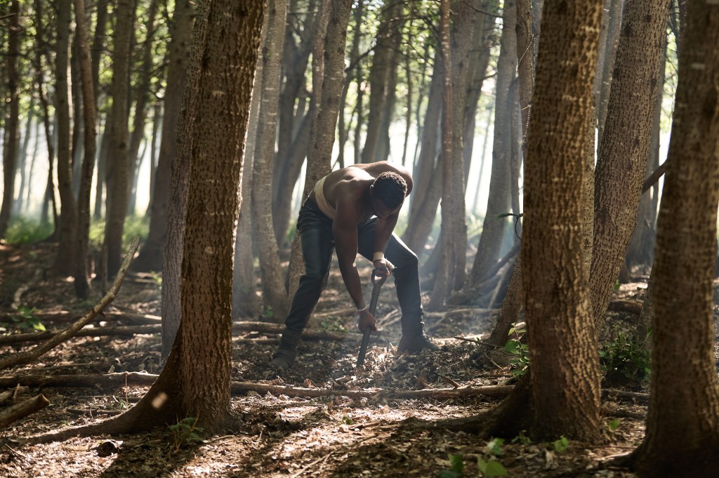 Netflix commande “Heart Of The Hunter” de Mandla Dube sur la liste Mip Africa – Deadline